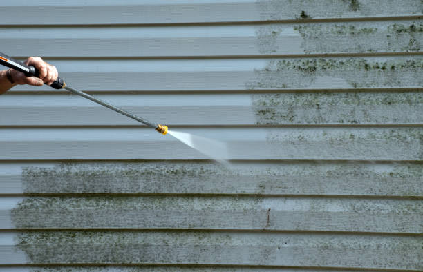 Best Local Mold Removal Service  in Grangeville, ID